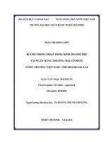 Rủi ro trong hoạt động kinh doanh thẻ tại ngân hàng thương mại cổ phần công thương việt nam   chi nhánh gia lai 