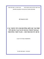 Các nhân tố ảnh hưởng đến dư nợ thẻ tín dụng tại ngân hàng TMCP ngoại thương việt nam   chi nhánh tp  hồ chí minh 