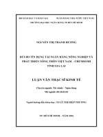 Rủi ro tín dụng tại ngân hàng nông nghiệp và phát triển nông thôn việt nam   chi nhánh tỉnh gia lai 