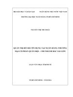 Quản trị rủi ro tín dụng tại ngân hàng thương mại cổ phần quân đội   chi nhánh bắc sài gòn 