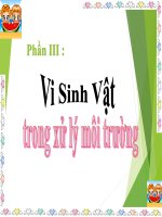 Bài giảng Vi sinh vật trong xử lý môi trường