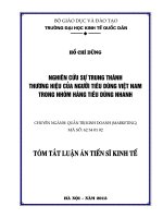 Nghiên cứu sự trung thành thương hiệu của người tiêu dùng Việt Nam trong nhóm hàng tiêu dùng nhanh