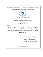 Các yếu tố ảnh hưởng đến sự hài lòng của nhân viên tại chi nhánh HCM công ty TNHH hệ thống thông tin FPT 