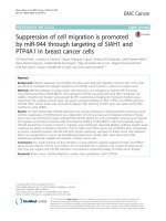 Suppression of cell migration is promoted by miR-944 through targeting of SIAH1 and PTP4A1 in breast cancer cells