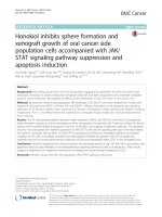 Honokiol inhibits sphere formation and xenograft growth of oral cancer side population cells accompanied with JAK/ STAT signaling pathway suppression and apoptosis induction