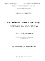 Chính sách tỷ giá hối đoái của việt nam trong giai đoạn hiện nay 