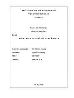 Tiểu luận môn học bơm cánh dẫn