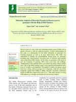 Molecular analysis of diversity presents in Brassica juncea genotypes with the Help of SSR markers