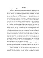 Giải pháp điều hành chính sách tiền tệ theo lạm phát mục tiêu tại việt nam 