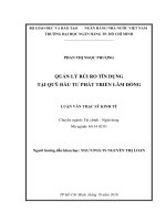 Quản lý rủi ro tín dụng tại quỹ đầu tư phát triển lâm đồng 