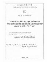 Nghiên cứu phương tiện nhấn mạnh trong tiếng Anh có liên hệ với tiếng Việt : Qua trật tự cú pháp. Luận án TS. Ngôn ngữ học: 5 04 08