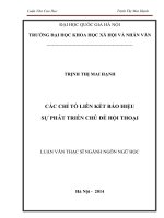 Các chỉ tố liên kết báo hiệu sự phát triển chủ đề hội thoại : Luận văn ThS. Ngôn ngữ học: 60 22 01