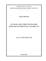Xây dựng, phát triển thương hiệu kênh truyền hình ở Việt Nam hiện nay :  Luận án TS. Báo chí và truyền thông: 623201