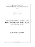 Stress nghề nghiệp của người lao động trong các doanh nghiệp tư nhân trên địa bàn thành phố Hà Nội
