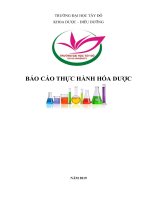 BÁO CÁO THỰC HÀNH HÓA DƯỢC 1 ĐẠI HỌC TÂY ĐÔ