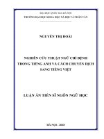 Nghiên cứu thuật ngữ chỉ bệnh trong Tiếng Anh và cách chuyển dịch sang tiếng Việt : Luận án TS. Ngôn ngữ và văn hoá nước ngoài: 622202