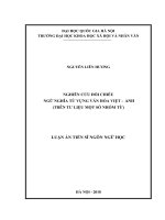Nghiên cứu đối chiếu ngữ nghĩa từ vựng văn hóa Việt - Anh (Trên tư liệu một số nhóm từ) :  Luận án TS. Ngôn ngữ và văn hoá nước ngoài: 622202