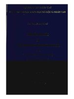 Phân tầng mức sống và ảnh hưởng của nó tới đời sống văn hóa của cư dân nông thôn Bắc Bộ đầu những năm 90 qua khảo sát xã hội học xã Văn Môn, huyện Yên Phong, tỉnh Bắc Hà cũ.