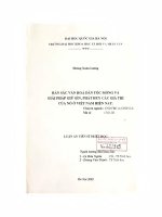 Bản sắc văn hoá dân tộc Mông và giải pháp giữ gìn, phát huy các giá trị của nó ở Việt Nam hiện nay : Luận án TS. CNDVBC & CNDVLS: 5 01 02