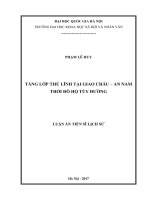 Tầng lớp thủ lĩnh tại Giao Châu - An Nam thời đô hộ Tùy Đường : Luận án TS. Nhân văn khác: 62 22 03