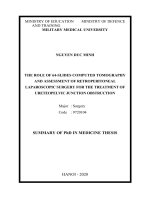 Nghiên cứu giá trị chẩn đoán của chụp cắt lớp vi tính 64 dãy và đánh giá kết quả phẫu thuật nội soi sau phúc mạc điều trị hội chứng hẹp khúc nối bể thận niệu quản tt tiếng anh 