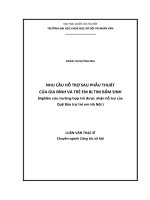 Nhu cầu hỗ trợ sau phẫu thuật của gia đình và trẻ em bị tim bẩm sinh (Nghiên cứu trường hợp trẻ được nhận hỗ trợ của Quỹ Bảo trợ trẻ em Hà Nội) : Luận văn ThS. Khác: 609001