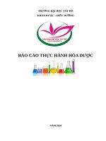 BÁO CÁO THỰC HÀNH HÓA DƯỢC 2