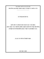 Giữ gìn và phát huy giá trị bản sắc văn hóa dân tộc Tày trong điều kiện kinh tế thị trường ở một số tỉnh Đông Bắc Việt Nam hiện nay :  Luận án TS. Nhân văn khác: 62 22 03