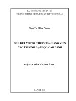 Gắn kết với tổ chức của giảng viên các trường Đại học, Cao đẳng :  Luận án TS. Tâm lý học: 623104