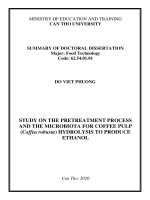 Nghiên cứu quá trình tiền xử lý và hệ vi sinh vật phân giải vỏ quả cà phê vối (coffea robusta) để lên men tạo ethanol tt tiếng anh 