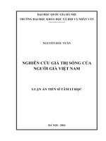 Nghiên cứu giá trị sống của người già Việt Nam : Luận án TS. Tâm lý học xã hội (chuyên ngành đào tạo thí điểm)