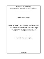 Định hướng chiến lược kinh doanh của Công ty Cổ phần Thương mại và dịch vụ Hoàn Hảo