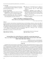 Ảnh hưởng của việc bổ sung vi khuẩn Lactobacillus plantarum và C, N, P lên tỷ lệ sống và phòng bệnh hoại tử gan tụy cấp tính trên tôm thẻ chân trắng