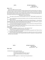 de on thi vao 10 ngu van