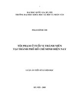 Tội phạm ở tuổi vị thành niên tại thành phố hồ chí minh hiện nay  luận án TS  xã hội học  5 03 51 