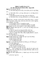 ÔN tập hè   lớp 4   TVIỆT