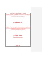 Potential, reality and solutions to cultural tourism developing in Dong Anh, Hanoi : Tiềm năng, thực trạng và giải pháp phát triển du lịch văn hóa huyện Đông Anh, Hà Nội. Luận văn ThS. Khu vực học : 60 31 60