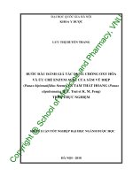 Bước đầu đánh giá tác dụng chống Oxy hóa và ức chế enzym AchE của sâm vũ diệp (Panax Bipinnatifidus seem.) và tam thất hoang (Panax stipuleanatus H. T. Tsai et K. M. Feng) trên thực nghiệm