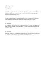 CẤU TẠO Ổ MẮT