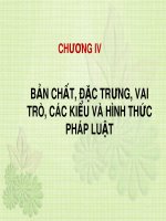 Bài giảng Lý luận nhà nước và pháp luật - Chương 4: Bản chất, đặc trưng, vai trò, các kiểu và hình thức pháp luật