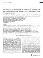 Ảnh hưởng của các phương pháp chế biến nhiệt đến hàm lượng tinh dầu trong các sản phẩm được phối trộn với bột vi bao tinh dầu sả chanh (Cymbopogon citratus)
