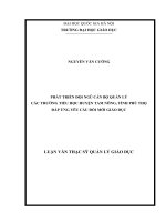 Phát triển đội ngũ cán bộ quản lý các trường tiểu học huyện Tam Nông, tỉnh Phú Thọ đáp ứng yêu cầu đổi mới giáo dục