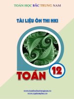 ĐỀ CƯƠNG ÔN THI HK I TOÁN LỚP 12