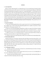 Tóm tắt luận án Tiến sĩ: Nghiên cứu chế tạo vật liệu composit oxit sắt/các bon định hướng ứng dụng trong tích trữ năng lượng