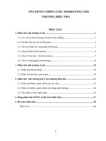 Tiểu-luận Thương-hiệu-TiKi