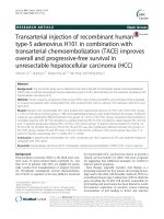 Transarterial injection of recombinant human type-5 adenovirus H101 in combination with transarterial chemoembolization (TACE) improves overall and progressive-free survival in unresectable