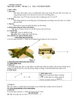 Giáo Án Hình 10 HK1 Phương Pháp Mới 5 Hoạt Động