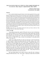 Đào tạo nguồn nhân lực lĩnh vực công nghiệp chế biến gỗ và lâm sản: Thực trạng và định hướng phát triển