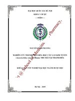 Nghiên cứu thành phần hóa học cây lan kim tuyến ( Anoectochilus setaceus blume) thu hái tại Thanh Hóa