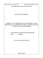 Nghiên cứu xác định chiều sâu thâm nhập của hỗn hợp asphalt vào khe rỗng đá hộc và mô đun đàn hồi của kết cấu bảo vệ mái đê biển tt 